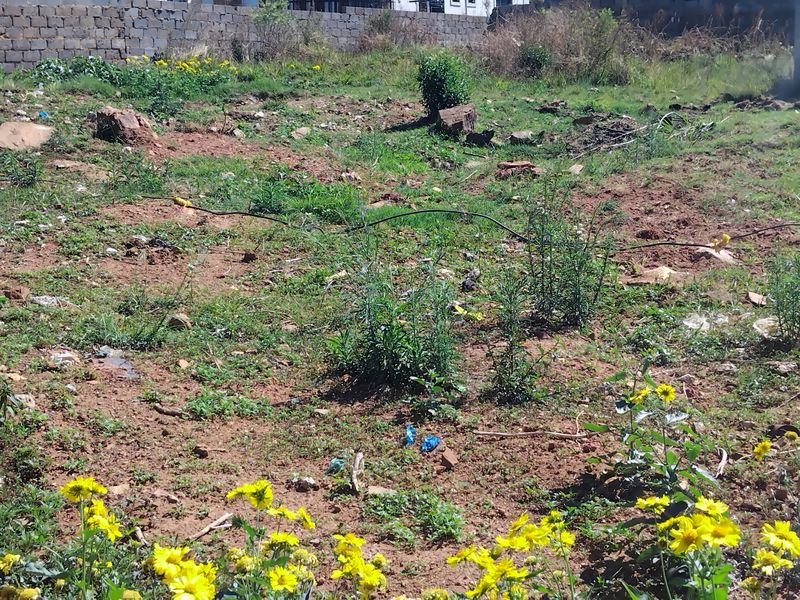 An undeveloped plot of land featuring natural vegetation and a perimeter boundary wall, offering a blank canvas for future landscaping or construction.