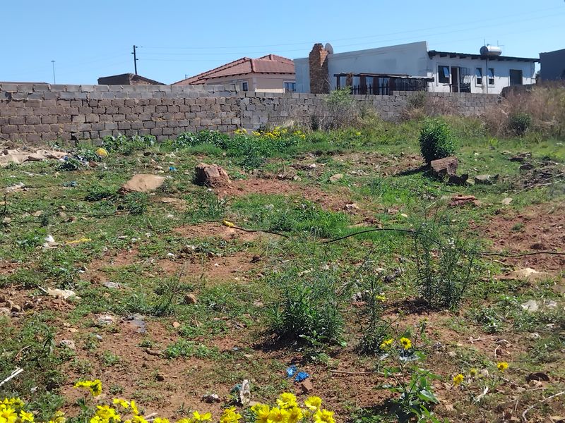 An undeveloped plot of land featuring a perimeter boundary wall and natural vegetation, offering a blank canvas for future landscaping or development.