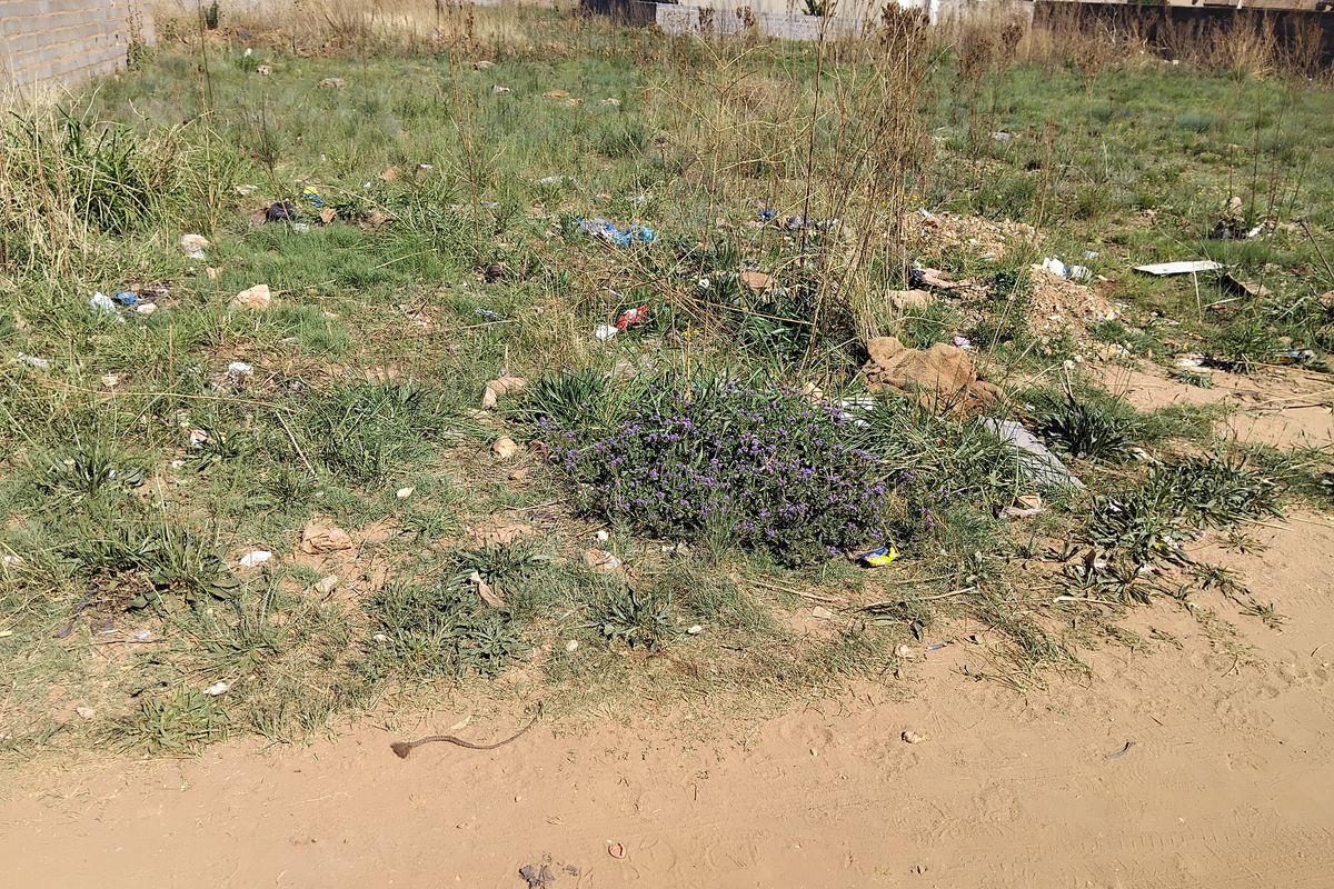 An undeveloped plot of land featuring overgrown grass, weeds, and scattered debris, enclosed by a perimeter boundary wall.