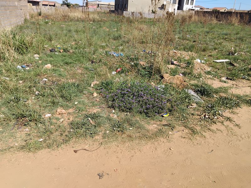 An undeveloped plot of land featuring overgrown grass, weeds, and scattered debris, enclosed by a perimeter boundary wall.