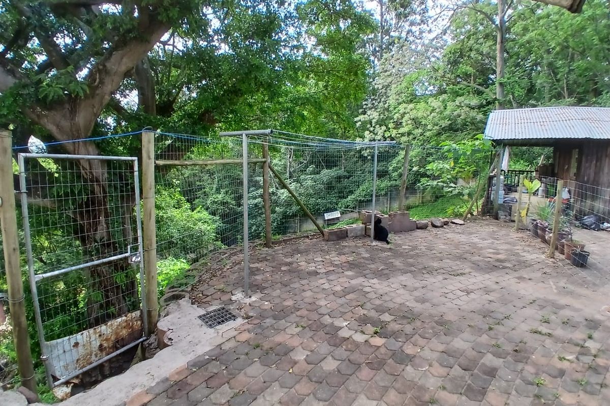 A rear outdoor patio area featuring paved flooring, wire mesh fencing, and a metal gate, set against a backdrop of mature trees.