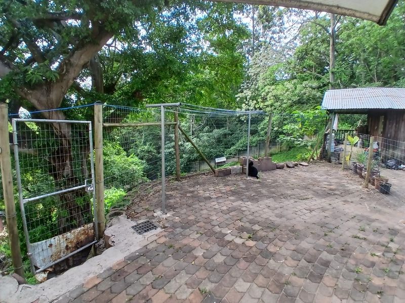 A rear outdoor patio area featuring paved flooring, wire mesh fencing, and a metal gate, set against a backdrop of mature trees.