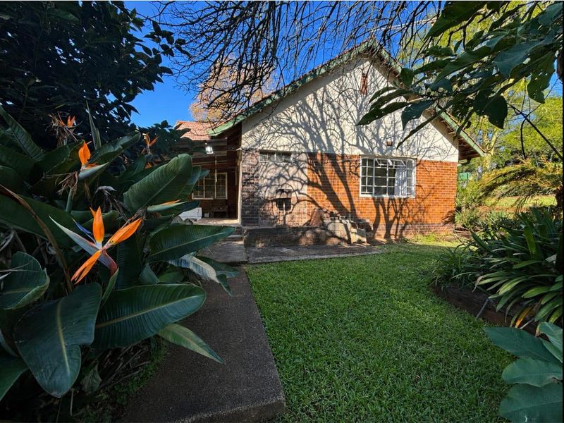Rear view of the house featuring a brick facade, concrete pathway, and established garden area with mature trees.