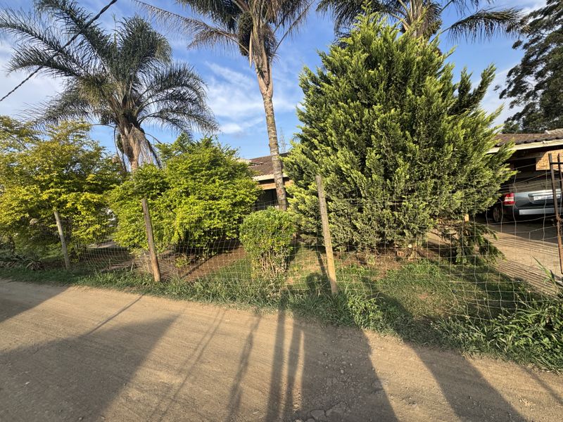 Front view of the property featuring a landscaped garden, mature trees, and wire mesh fencing along an unpaved driveway.