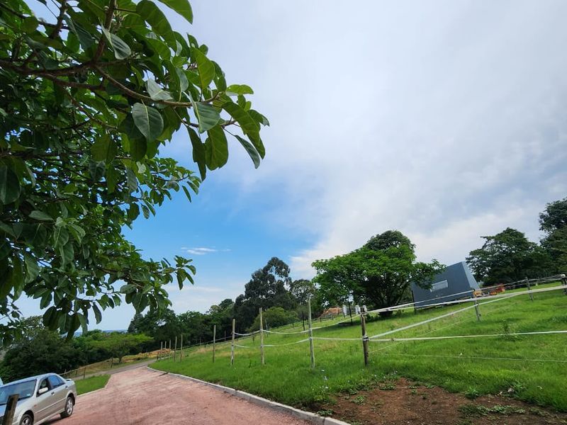 A view of the property entrance featuring a gravel driveway, concrete curbing, and post and rail fencing set within a spacious green landscape.