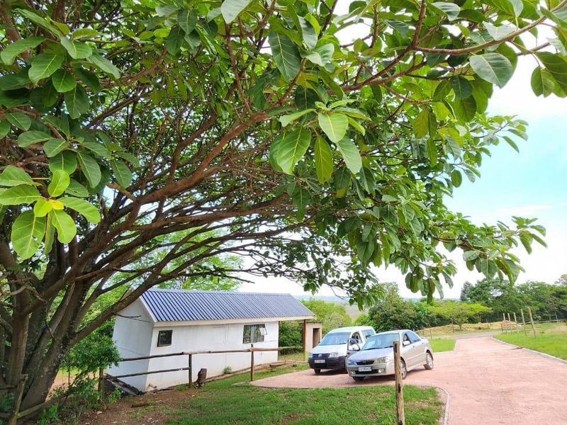 Exterior view of a cottage featuring a metal roof, adjacent concrete driveway, and established trees on the property grounds.