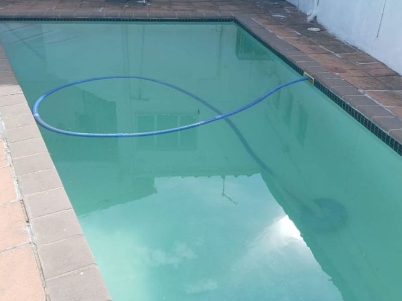 A rectangular swimming pool with tiled coping, currently requiring maintenance and water treatment.