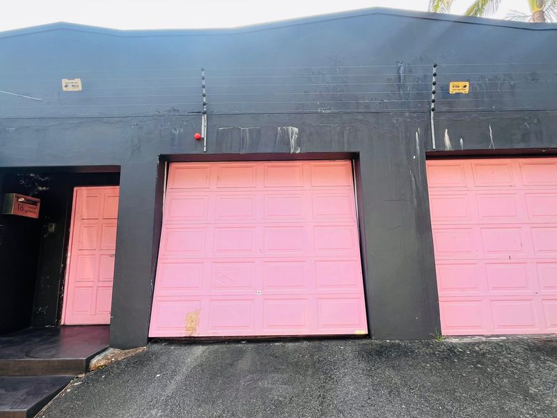 Exterior view of a double garage with a separate pedestrian entrance, featuring dark painted walls and pink garage doors with visible wear.