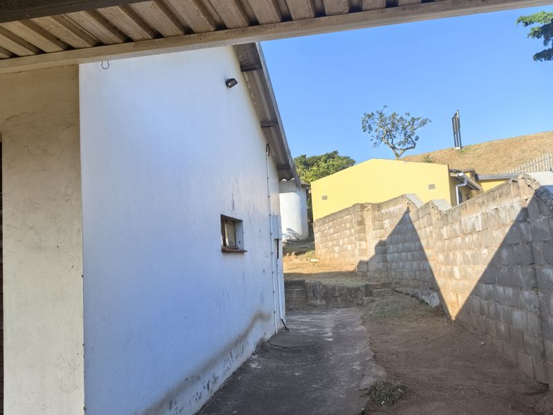 A view of the rear exterior area featuring a concrete pathway, corrugated metal roof covering, and a cinder block boundary wall.
