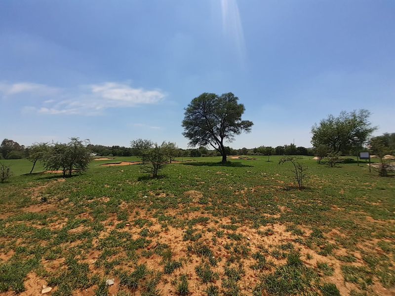 A wide-angle view of a vacant residential plot featuring natural grassland and mature trees under a clear sky.