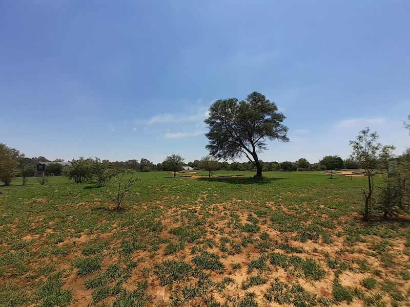 A wide-angle view of a vacant residential plot featuring natural grassland and mature trees under a clear blue sky.