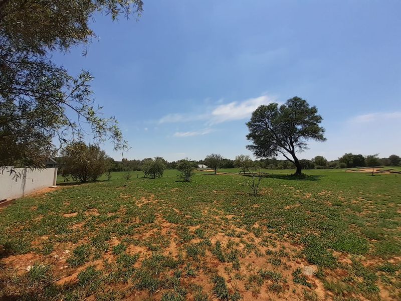 A spacious, open residential plot featuring natural grass cover, mature trees, and a boundary wall, offering a clear view of the surrounding landscape.