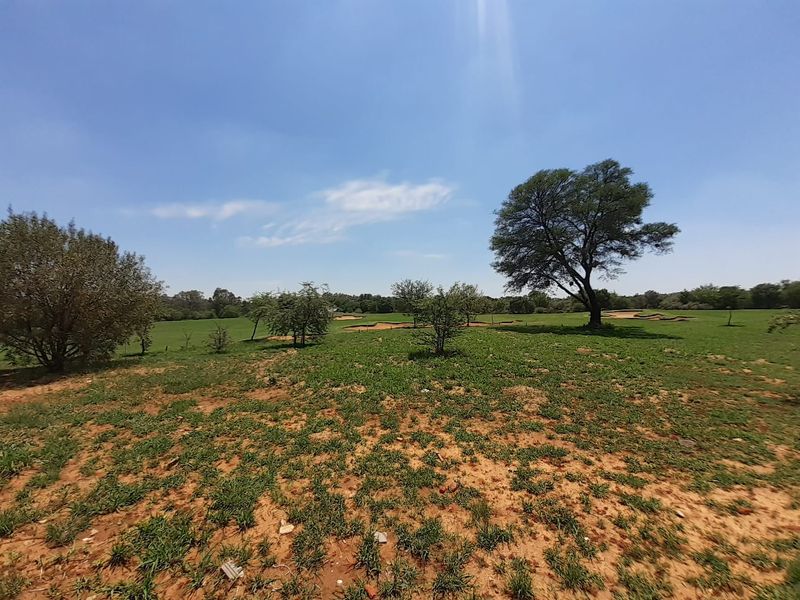 A wide-angle view of a vacant residential plot featuring natural grassland and mature trees under a clear blue sky.