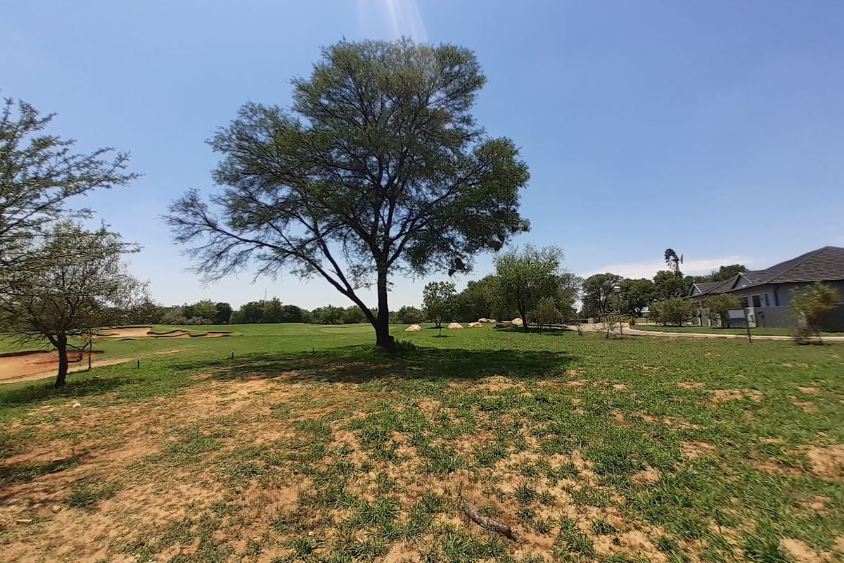 A wide-angle view of a spacious residential plot featuring mature trees, natural grass, and sandy terrain under a clear blue sky.
