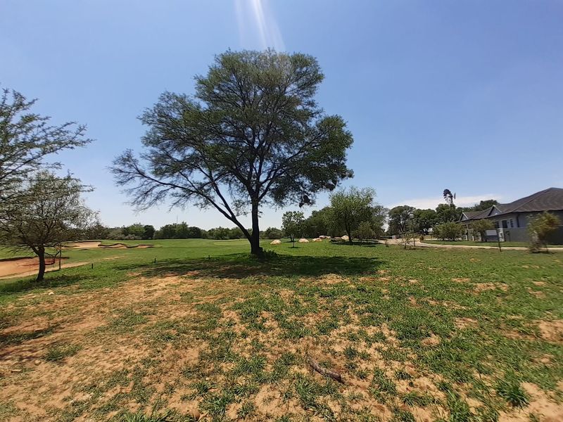 A wide-angle view of a spacious residential plot featuring mature trees, natural grass, and sandy terrain under a clear blue sky.