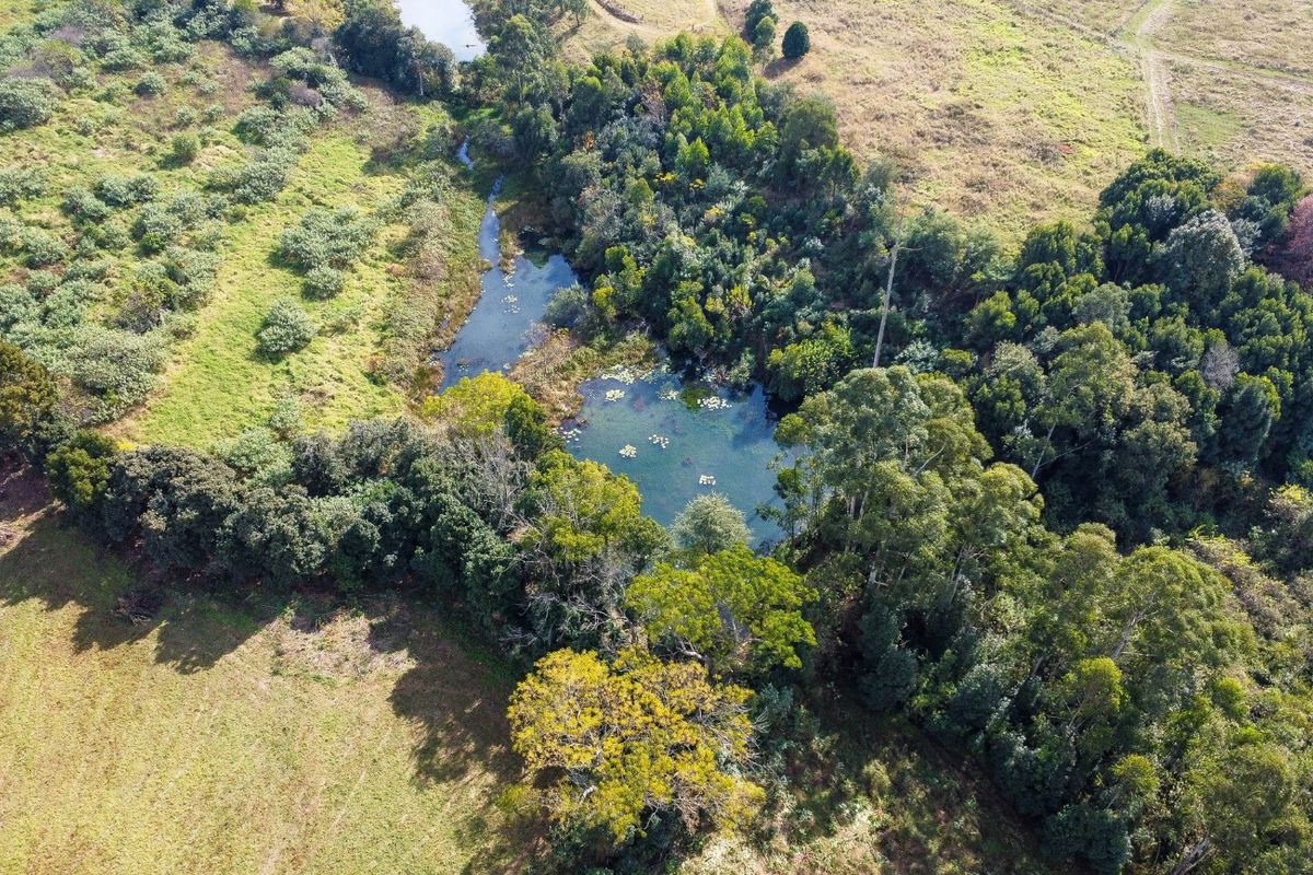 An aerial view of the small holding featuring a natural pond surrounded by established trees and open grassland.