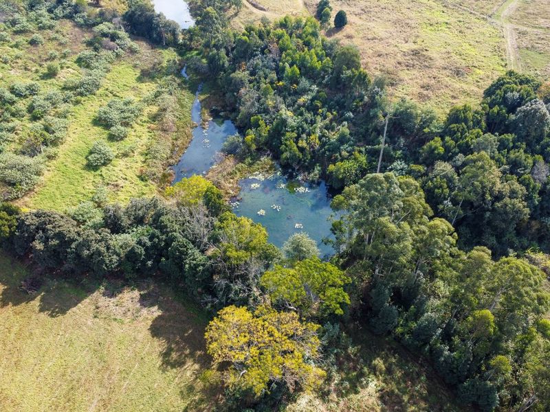 An aerial view of the small holding featuring a natural pond surrounded by established trees and open grassland.