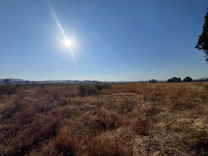 Expansive open field landscape on a farm property, featuring dry grass and distant horizon views under a clear blue sky.