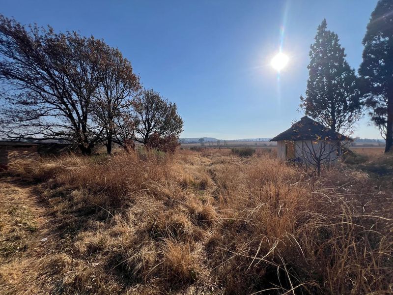 Expansive rural farm land featuring dry grass, mature trees, and a small detached structure with a traditional thatched roof.