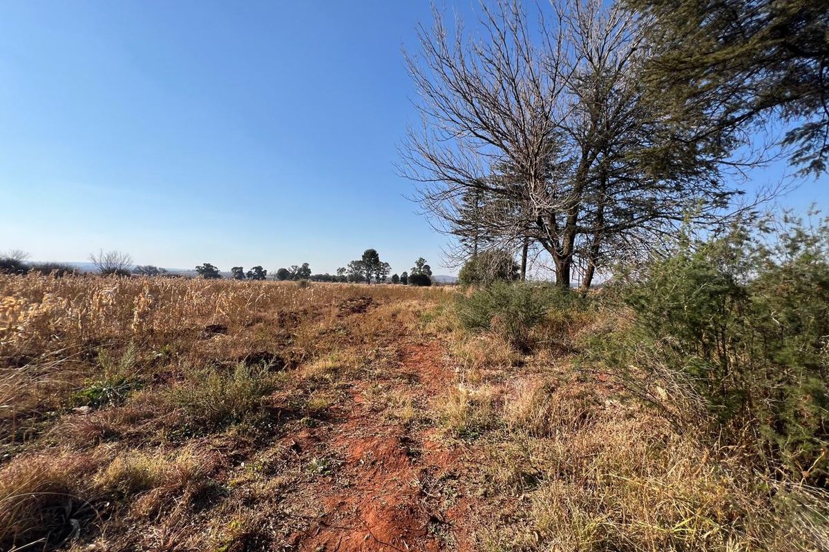A wide-angle view of the open farm landscape featuring natural vegetation, dry grass, and mature trees under a clear blue sky.