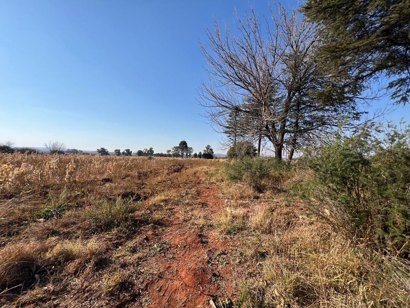 A wide-angle view of the open farm landscape featuring natural vegetation, dry grass, and mature trees under a clear blue sky.