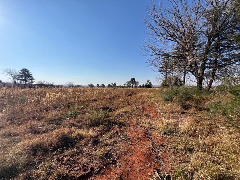 A wide-angle view of the open farm landscape featuring natural vegetation, dry grass, and mature trees under a clear blue sky.