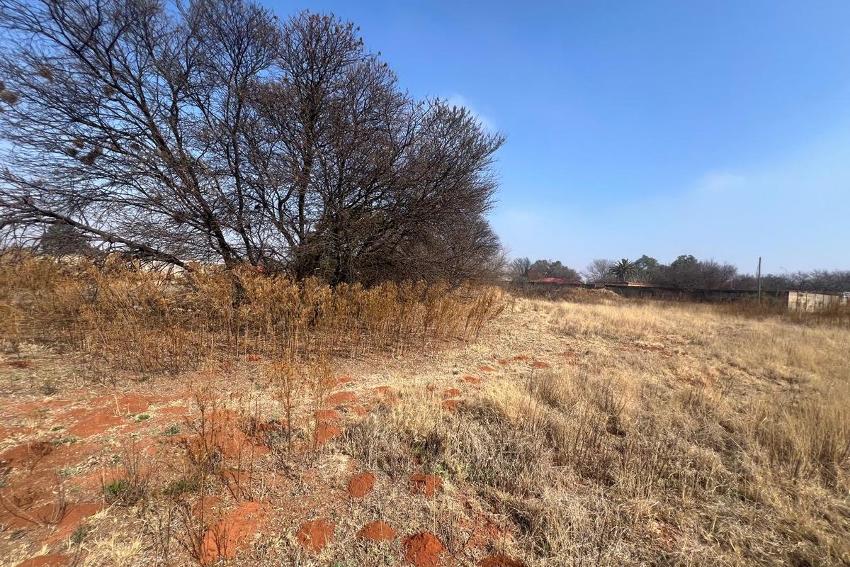 A view of a vacant residential plot featuring dry grass, mature trees, and a boundary wall in the background.