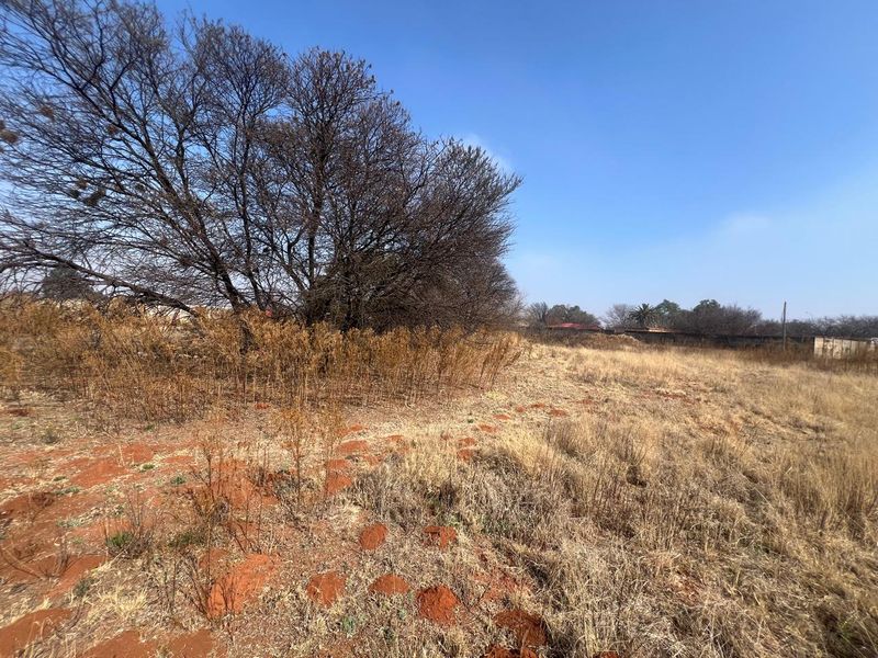 A view of a vacant residential plot featuring dry grass, mature trees, and a boundary wall in the background.
