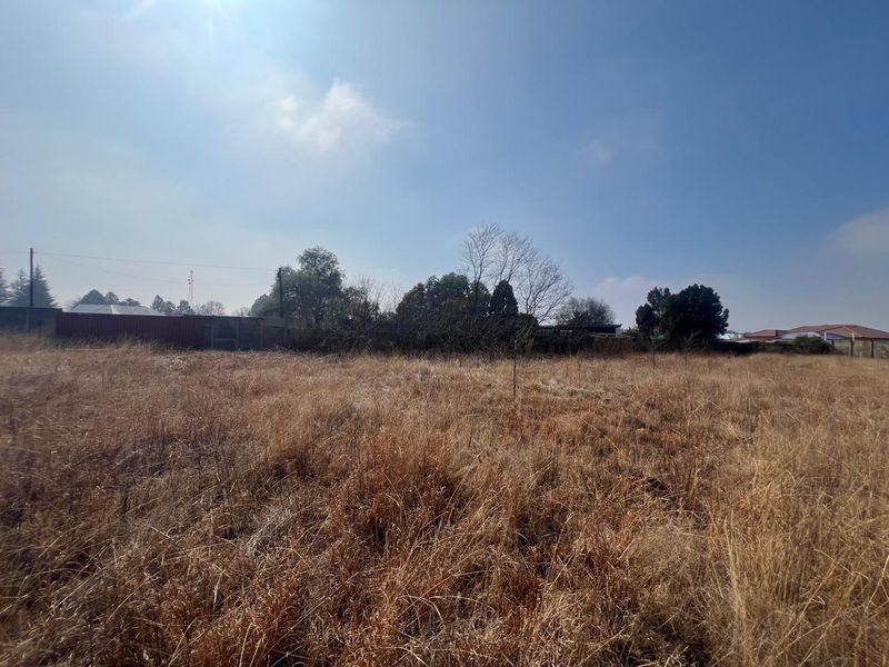 A vacant residential plot featuring dry grass and perimeter boundary walls, offering a blank canvas for future development.