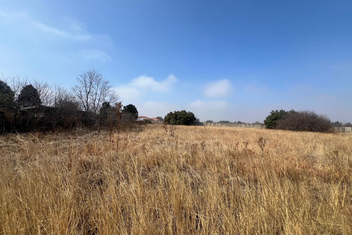 A view of a vacant residential plot featuring dry grass, mature trees, and a perimeter wall boundary.