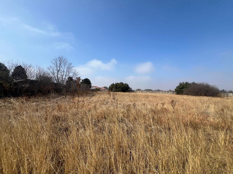 A view of a vacant residential plot featuring dry grass, mature trees, and a perimeter wall boundary.