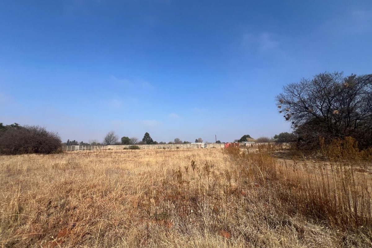 A wide-angle view of a vacant residential plot featuring dry grass, mature trees, and perimeter boundary fencing.