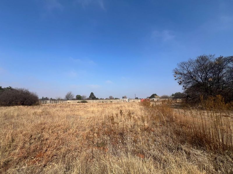A wide-angle view of a vacant residential plot featuring dry grass, mature trees, and perimeter boundary fencing.