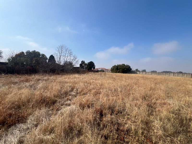 A wide-angle view of a vacant residential plot featuring dry grass, mature trees, and a perimeter boundary wall.