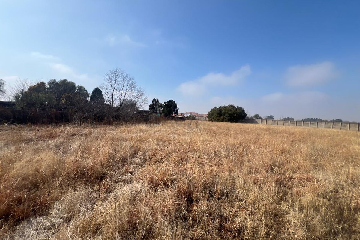 A wide-angle view of a vacant residential plot featuring dry grass, mature trees, and a perimeter boundary wall.