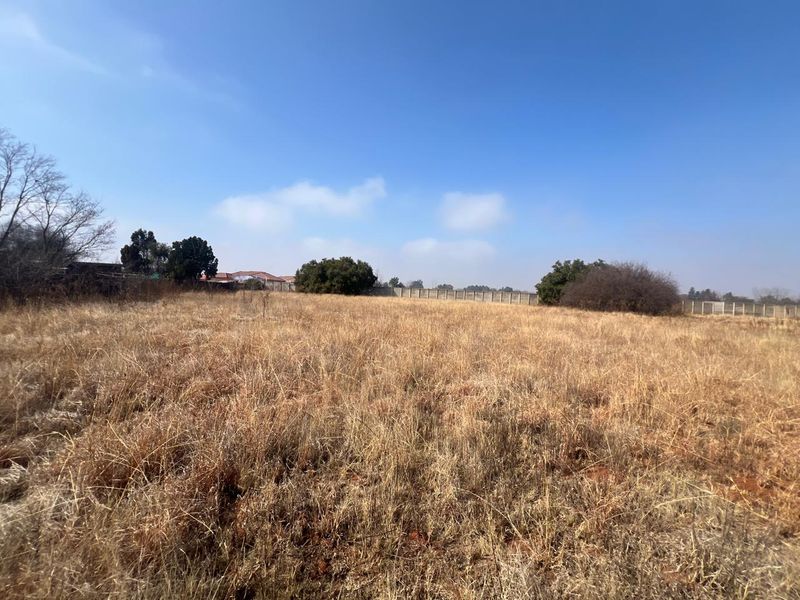 A wide-angle view of a vacant residential plot featuring dry grass, mature trees, and a perimeter boundary wall.
