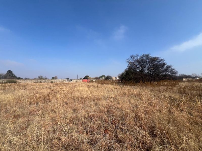 A wide-angle view of a vacant residential plot featuring dry grass, mature trees, and a perimeter boundary wall.