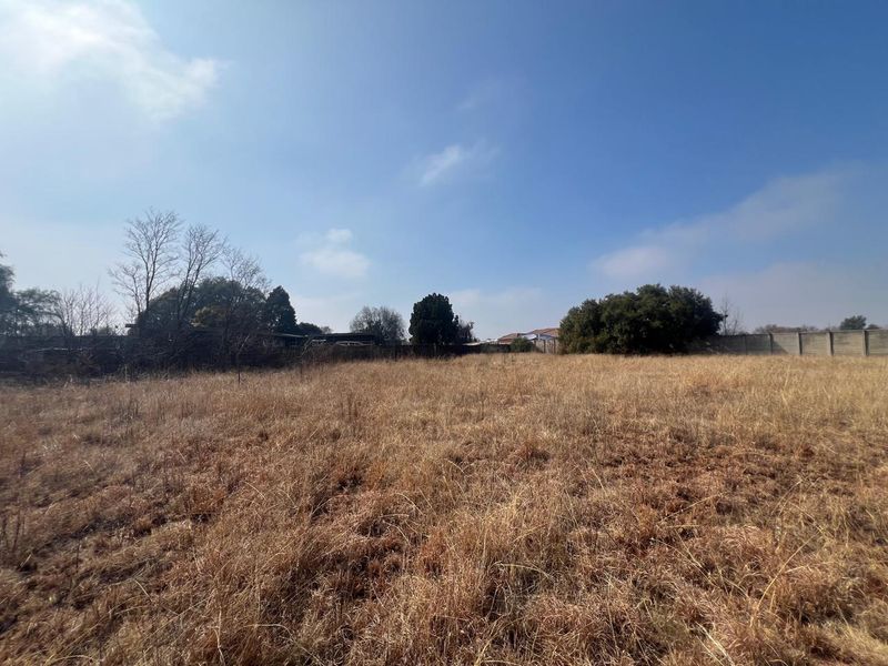 A view of a vacant residential plot featuring dry grass, mature trees, and a perimeter wall boundary.