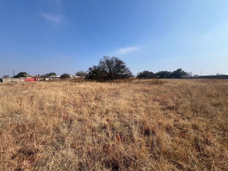 A wide-angle view of a vacant residential plot featuring dry grass, mature trees, and perimeter walling in the background.