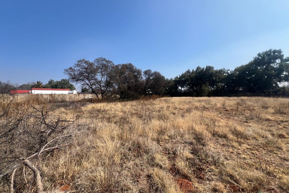 A vacant residential plot featuring dry grass, mature trees, and a boundary wall, offering a blank canvas for future development.
