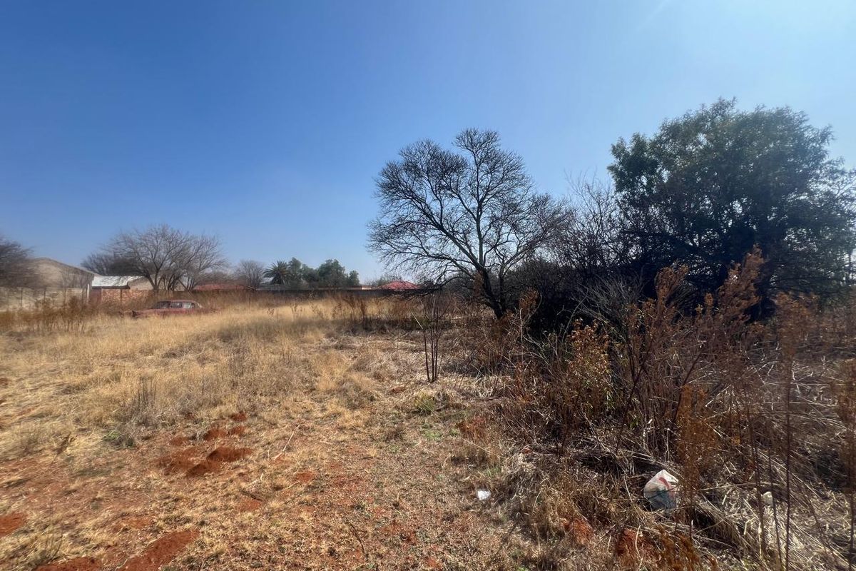 A vacant residential plot featuring dry, overgrown vegetation, mature trees, and a perimeter boundary wall, offering a blank canvas for future development.
