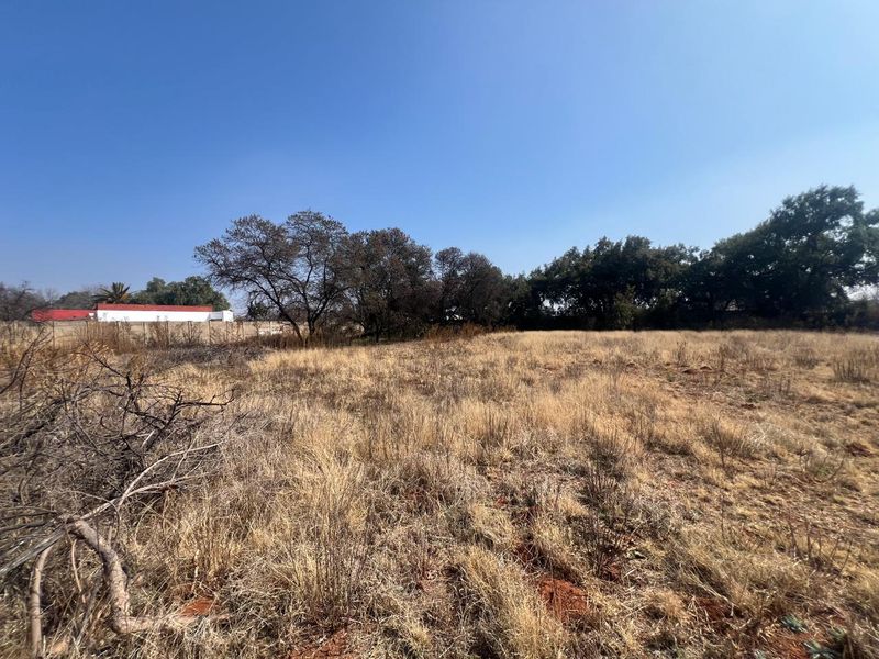 A vacant residential plot featuring dry grass, mature trees, and a boundary wall, offering a blank canvas for future development.