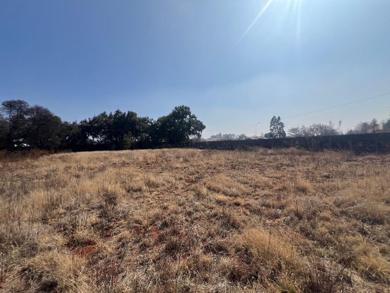 A vacant residential plot featuring dry grass, mature trees, and a perimeter wall, offering a blank canvas for future development.