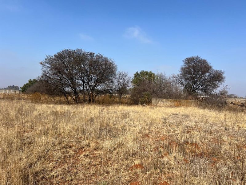 A view of a vacant residential plot featuring dry grass, mature trees, and a perimeter boundary wall.