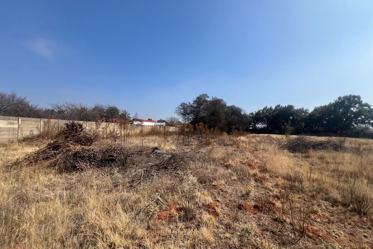 A vacant residential plot featuring dry grass, scattered vegetation, and a perimeter boundary wall.