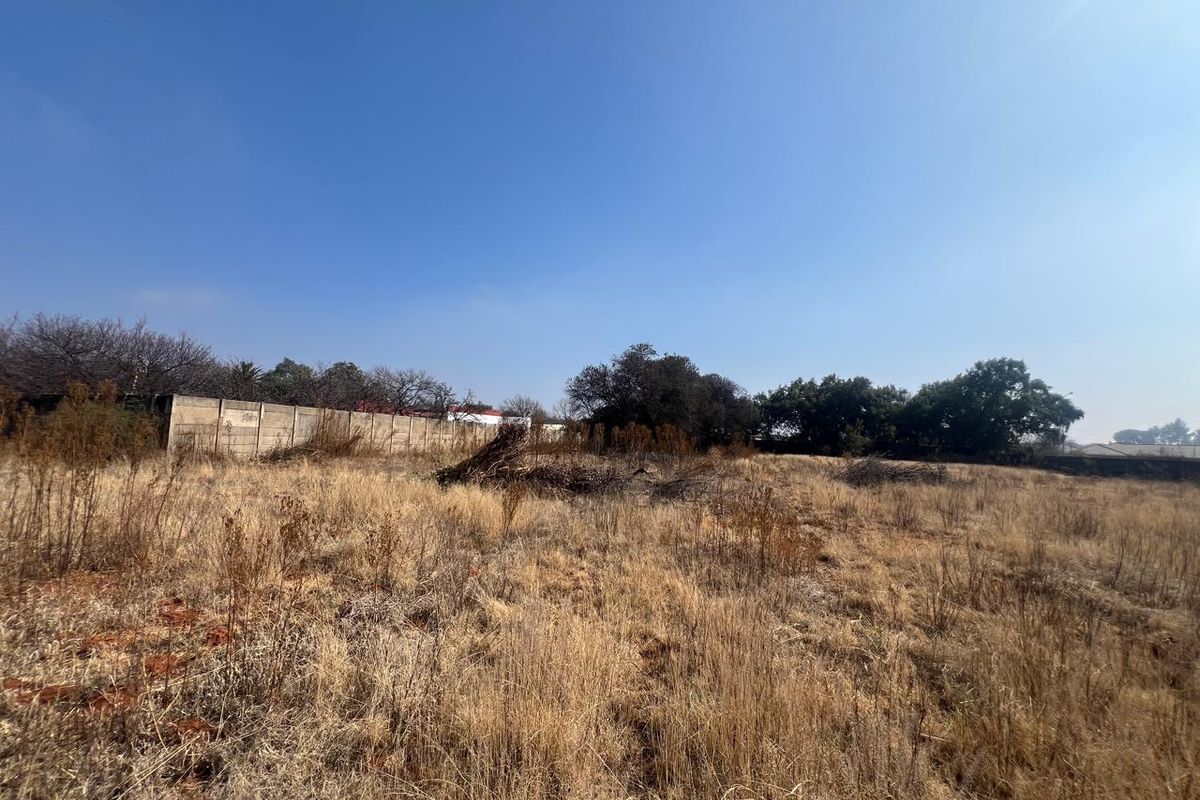 A vacant residential plot featuring dry grass, mature trees, and a precast concrete boundary wall along the perimeter.