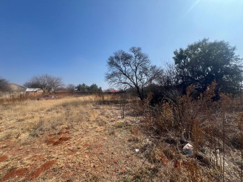 A vacant residential plot featuring dry, overgrown vegetation, mature trees, and a perimeter boundary wall, offering a blank canvas for future development.