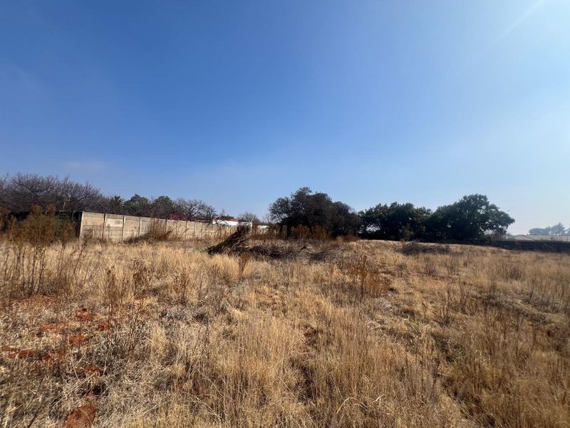 A vacant residential plot featuring dry grass, mature trees, and a precast concrete boundary wall along the perimeter.