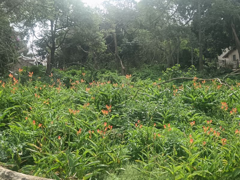 Vacant land for sale - Photo 3