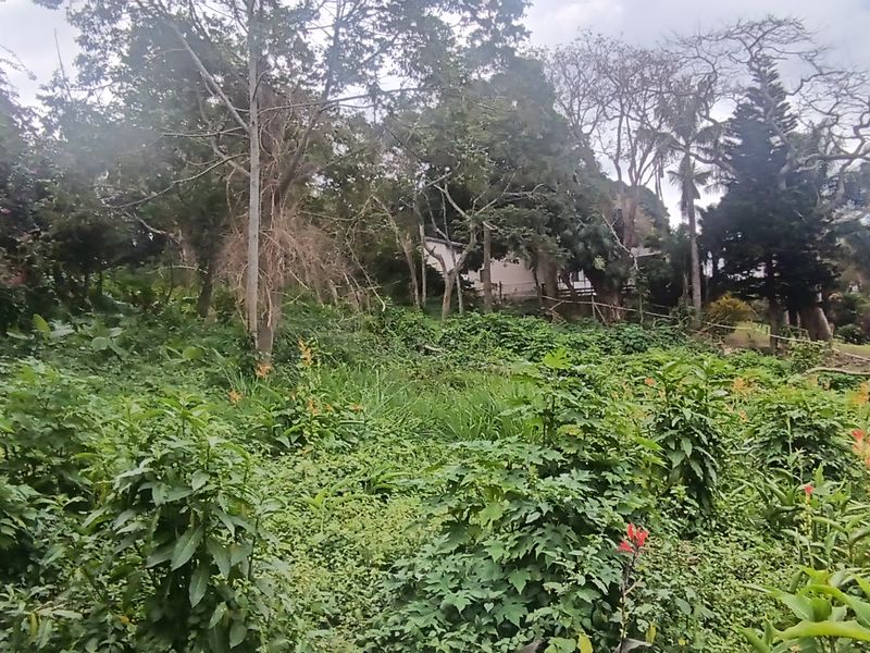 Vacant land for sale - Photo 7